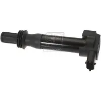 EFI 155507 Bobine