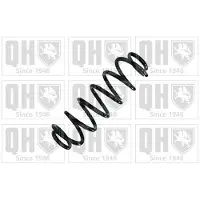 Quinton Hazell QCS9138 Chassisveer