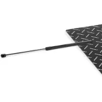 RIDEX 219G1221 Gasveer achterklep