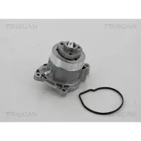 TRISCAN 8600 29056 Waterpomp
