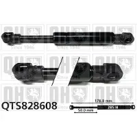 Quinton Hazell QTS828608 Gasveer achterklep