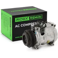 RIDEX 447K0387R Aircopomp