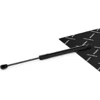 RIDEX 514G0177 Gasveer motorkap