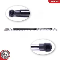 ESEN SKV 52SKV818 Gasveer achterklep