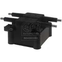 EFI 155181 Bobine