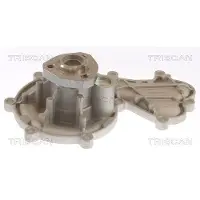 TRISCAN 8600 29096 Waterpomp