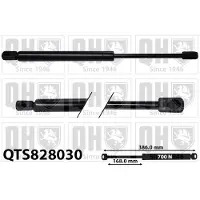 Quinton Hazell QTS828030 Gasveer achterklep