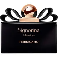 Ferragamo Signorina Misteriosa Eau de Parfum 100ml Spray voor Haar
