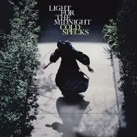 MUTE Light For The Midnight
