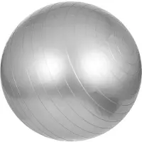 Gorilla Sports Fitnessbal Grijs 75 cm incl. pomp