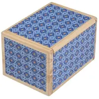 Philos Geheime Puzzeldoos - Kyoto