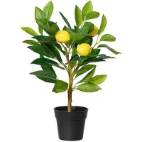 Décoris Kunstplant Citroenboom | | 43 cm (In pot, Ø 21 cm)