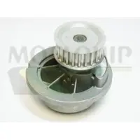 MOTAQUIP VWP828 Waterpomp
