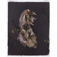 Konkurrent Isak Edberg - Belt Of Orion (LP)
