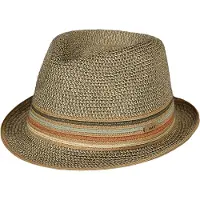 Barts Hoed 'Fluoriet' beige / blauw / bruin / groen