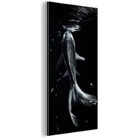 MuchoWow Aluminium schilderij 20x40 cm - Wanddecoratie metaal - Koi - Vissen - Water - Zwart - Metalen muurdecoratie woonkamer - Decoratie industrieel - Foto op dibond - Industriële accessoires slaapkamer