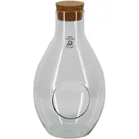 Bela Arte Sierfles terrarium met kurk dop - D18 x H31 cm - transparant glas - met gat
