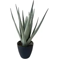 HEM Kunstplant Aloë Vera - 45 cm - 17 Uitlopers - Zwarte Pot met Mos - Realistische Nepplant