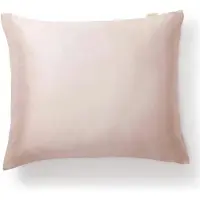 Essenza Kussensloop - Rose Effen Zijde - 65 x 65 cm - Anti-allergisch/Klimatiserend/Hotelkwaliteit - 101747-250-01-65 x 65 cm