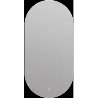 Arcqua Badkamerspiegel 40x80 cm ovaal verticaal backlight LED