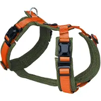 Petlando Harness Y-Comfort Olive-Orange met magnetische sluiting - maat M- 50 – 74 cm