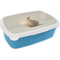 MuchoWow Broodtrommel Blauw - Lunchbox Knoflook - Natuurlijk - Beige - Brooddoos 18x12x6 cm - Brood lunch box - Broodtrommels voor kinderen en volwassenen
