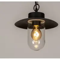 Lumidora Hanglamp 73889 - FOREST - E27 - Zwart - Metaal - Buitenlamp - IP44 - ⌀ 23 cm