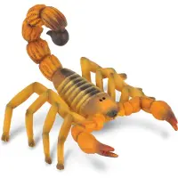 Collecta Figurine - Schorpioen - (M)