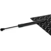 RIDEX 219G1477 Gasveer achterklep