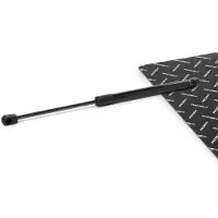 RIDEX 219G1348 Gasveer achterklep