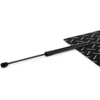 RIDEX 219G1235 Gasveer achterklep