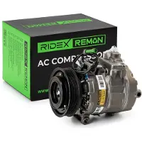 RIDEX 447K1087R Aircopomp