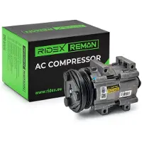 RIDEX 447K0014R Aircopomp