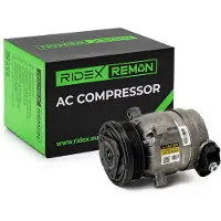 RIDEX 447K1070R Aircopomp