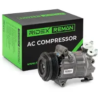 RIDEX 447K1016R Aircopomp