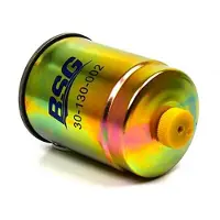 BSG 30-130-002 Brandstoffilter