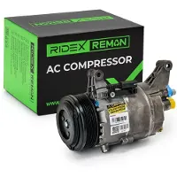 RIDEX 447K0025R Aircopomp