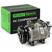 RIDEX 447K0980R Aircopomp
