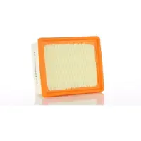 PZL Filters WA59394 Luchtfilter