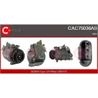 Casco CAC76007GS Aircopomp