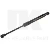 NK 11036015 Gasveer achterklep