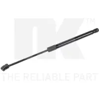 NK 11047065 Gasveer achterklep