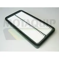 MOTAQUIP VFA810 Luchtfilter