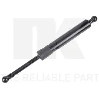 NK 11048001 Gasveer achterklep