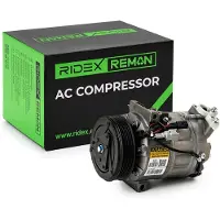 RIDEX 447K0166R Aircopomp
