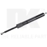 NK 11033011 Gasveer achterklep
