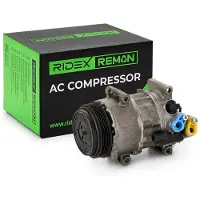 RIDEX 447K0117R Aircopomp