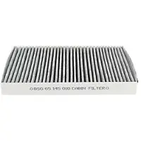 BSG 65-145-010 Interieurfilter