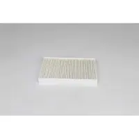 BSG 75-145-004 Interieurfilter