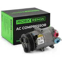 RIDEX 447K0203R Aircopomp